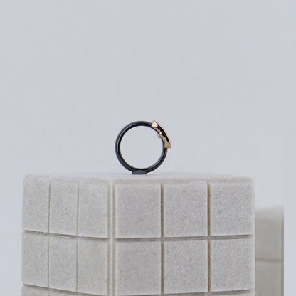 Silver Ceramic Ring