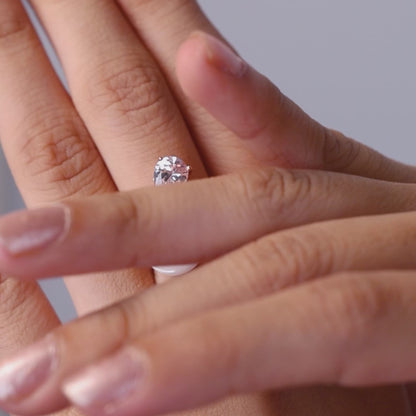 Eterna Glow Set -- Silver Rose Elegance With White Touch